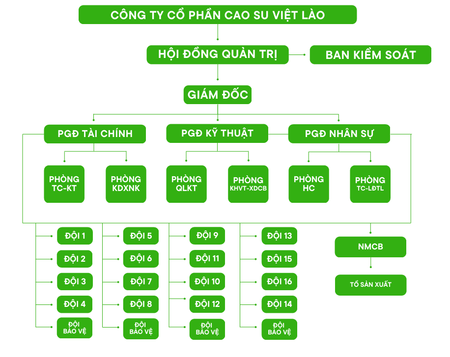 sơ đồ tổ chức việt lào